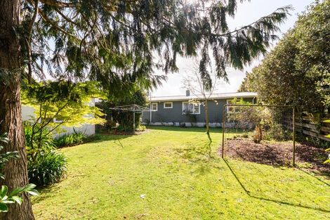 Photo of property in 195 The Terrace, Ashhurst, 4810