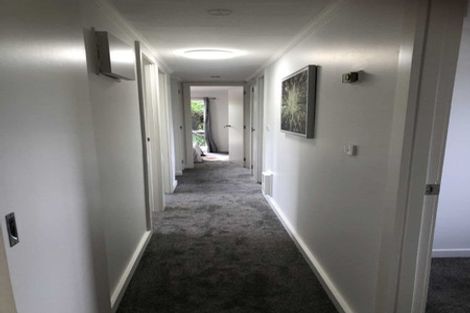 Photo of property in 218 Hampton Downs Road, Whangamarino, Te Kauwhata, 3782