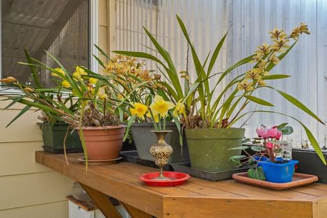 Photo of property in 52 Stansell Avenue, Tahunanui, Nelson, 7011