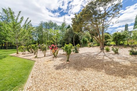 Photo of property in 97 Middle Street, Pukerau, Gore, 9772