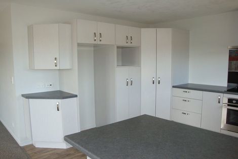 Photo of property in 32a Willow Street, Hampstead, Ashburton, 7700