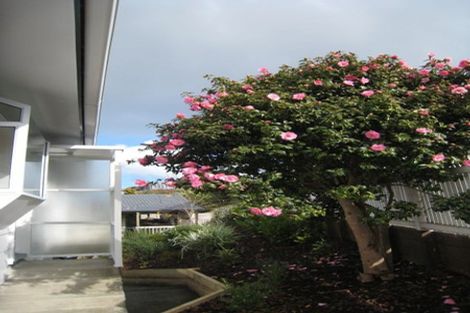 Photo of property in 17 Keegan Drive, Massey, Auckland, 0614