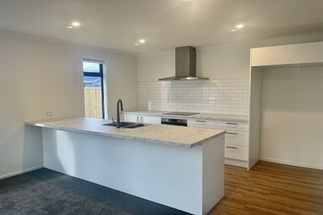 Photo of property in 16 Lotus Street, Appleby, Richmond, 7020