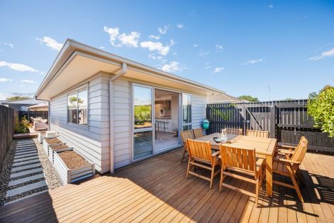 Photo of property in 55b Ferguson Street, Awapuni, Palmerston North, 4412
