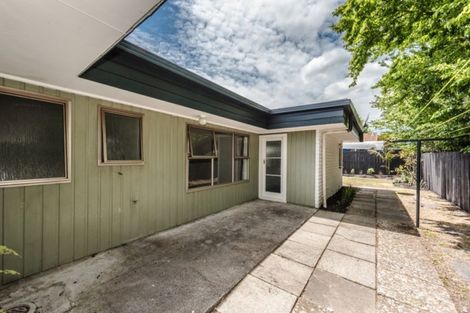 Photo of property in 169 Galloway Street, Hamilton East, Hamilton, 3216