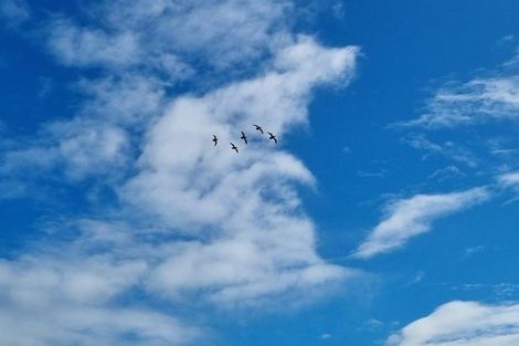 Photo of property in 11 Millett Road, Whangaripo, Wellsford, 0972