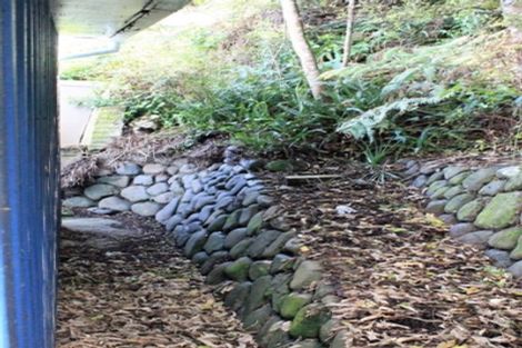 Photo of property in 416 Colville Road, Coromandel, 3584