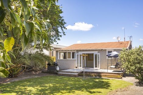 Photo of property in 58 Matipo Street, Takaro, Palmerston North, 4410