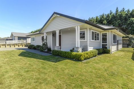 Photo of property in 26 Bertrowe Drive, Ohauiti, Tauranga, 3112