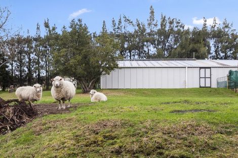 Photo of property in 24 Tuapiro Road, Tahawai, Katikati, 3170