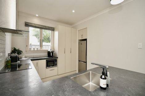 Photo of property in 52 Matipo Street, Takaro, Palmerston North, 4410