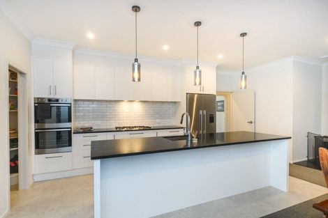 Photo of property in 31 Monarch Drive, Ashhurst, 4810