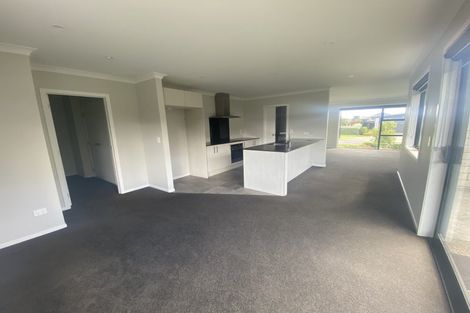 Photo of property in 12 Harp Street, Morrinsville, 3300