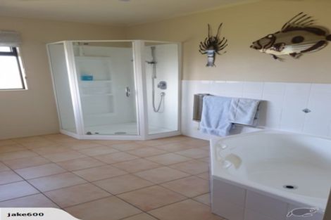 Photo of property in 16 Harris Place, Ngatea, 3503