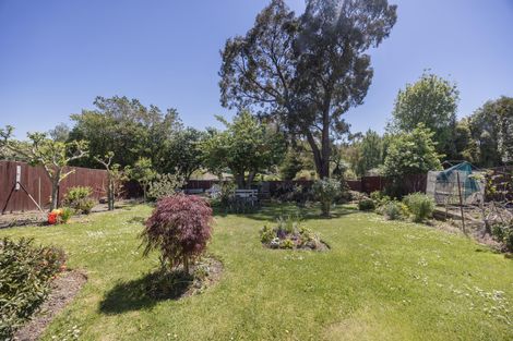 Photo of property in 14 Hayle Street, Holmes Hill, Oamaru, 9401