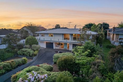 Photo of property in 115 Winchester Street, Levin, 5510