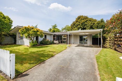 Photo of property in 168 Stanford Street North, Ashhurst, 4810