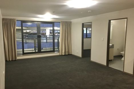 Photo of property in Dual Apartments, 310/142 Vivian Street, Te Aro, Wellington, 6011