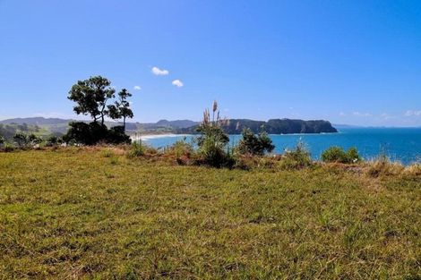 Photo of property in 77 Radar Road, Hot Water Beach, Whitianga, 3591
