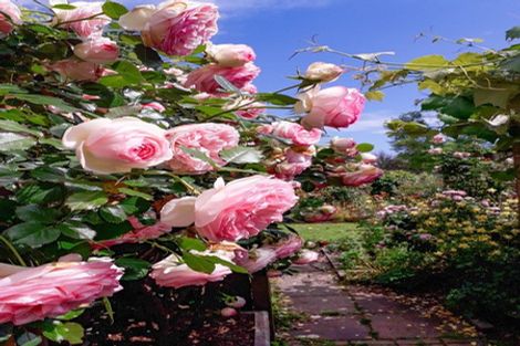 Photo of property in 5 Eleanor Place, Whakatane, 3120