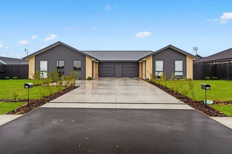 Photo of property in 41 Waikirikiri Avenue, Lincoln, 7608
