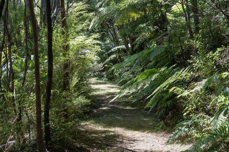 Photo of property in 206 Colville Road, Coromandel, 3584