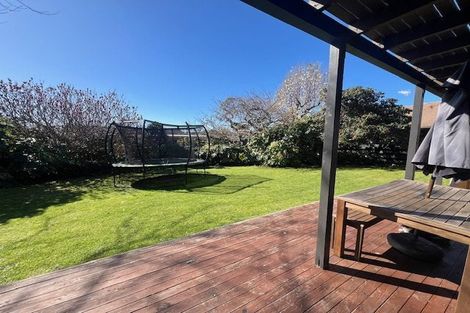 Photo of property in 98 Kings Avenue, Matua, Tauranga, 3110