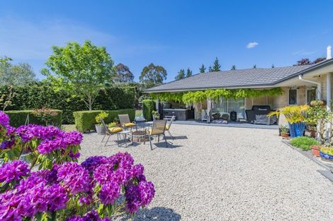 Photo of property in 1103 Downs Road, West Eyreton, Rangiora, 7475