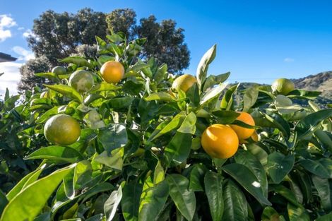 Photo of property in 45 Tui Glen Road, Atawhai, Nelson, 7010