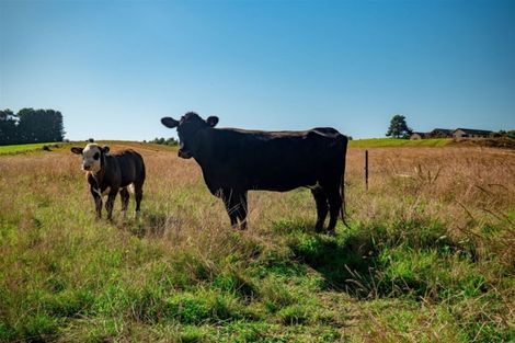 Photo of property in 391 Waiwhero Road, Ngatimoti, Upper Moutere, 7175