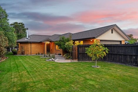 Photo of property in 17 Greenmeadow Gardens, Belfast, Christchurch, 8051