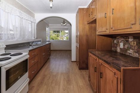 Photo of property in 38 Larissa Avenue, Henderson, Auckland, 0610