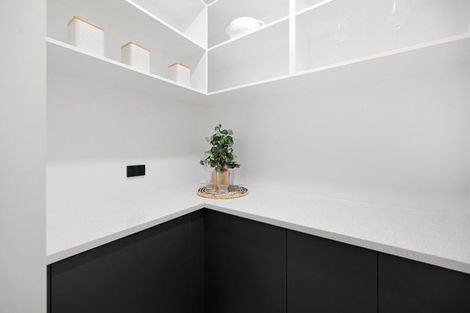 Photo of property in 19 Gaylard Avenue, Chartwell, 3210