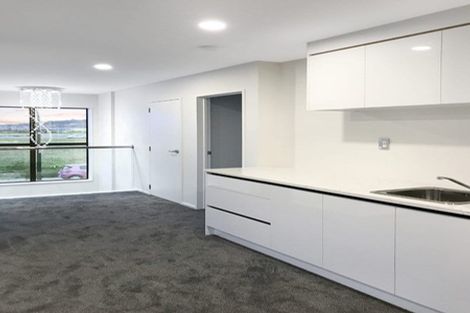 Photo of property in 19 Hakinakina Drive, Flat Bush, Auckland, 2019
