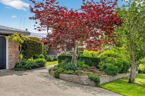 Photo of property in 24 Reeve Drive, Havelock North, 4130