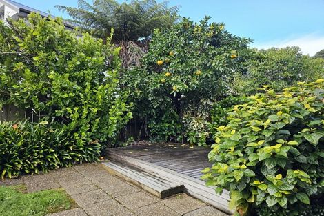 Photo of property in 2b Wapiti Avenue, Epsom, Auckland, 1051