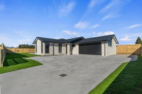 Photo of property in 35 Buxton Crescent, Matamata, 3400