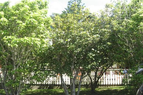 Photo of property in 2 Hinau Road, Hataitai, Wellington, 6021