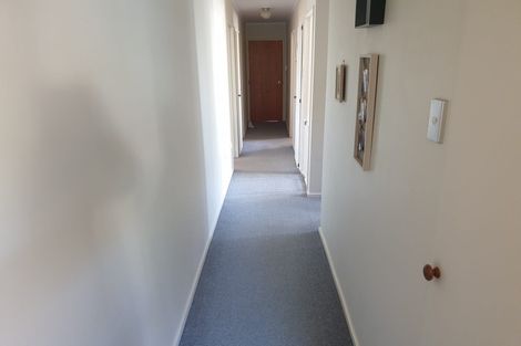 Photo of property in 19 Cashmere Grove, Witherlea, Blenheim, 7201