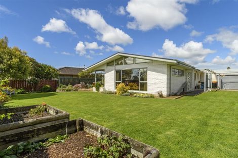 Photo of property in 135 Te Hono Street, Maungatapu, Tauranga, 3112