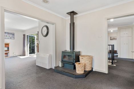 Photo of property in 155 Main Road, Fairfield, Dunedin, 9018