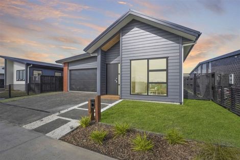 Photo of property in 31 Medway Place, Chartwell, Hamilton, 3210