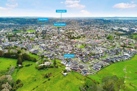 Photo of property in 55 Platinum Rise, Ranui, Auckland, 0612