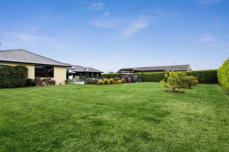 Photo of property in 42 Alan Livingston Drive, Cambridge, 3434