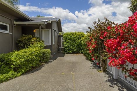 Photo of property in 174 Fraser Street, Tauranga South, Tauranga, 3112