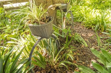 Photo of property in 46 Plummer Road, Whakamarama, Tauranga, 3179