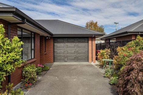 Photo of property in 2/12 Bank Street, Amberley, 7410