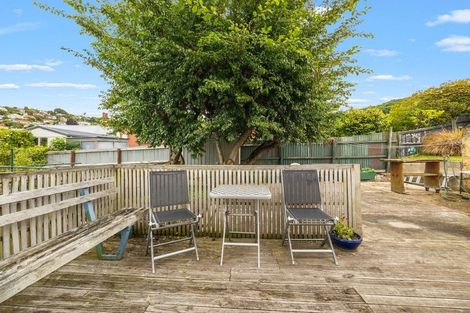 Photo of property in 11 Catherine Street, Caversham, Dunedin, 9012