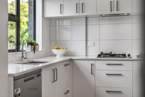 Photo of property in 19 Ti Kouka Lane, Sandringham, Auckland, 1025