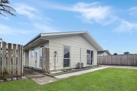 Photo of property in 179 Tiro Tiro Road, Levin, 5510
